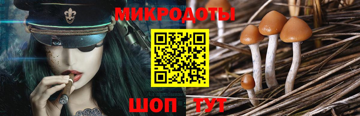 Псилоцибиновые грибы Psilocybe  Вход с VPN  Псилоцибиновые грибы Cubensis  где можно купить   Тихорецк 